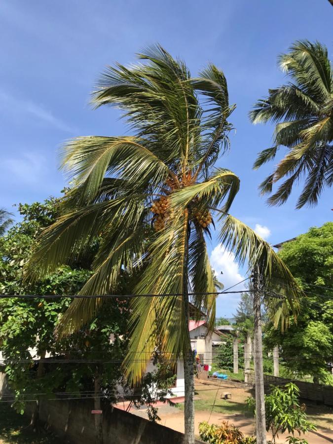 Wh Beach Resort Weligama Kültér fotó